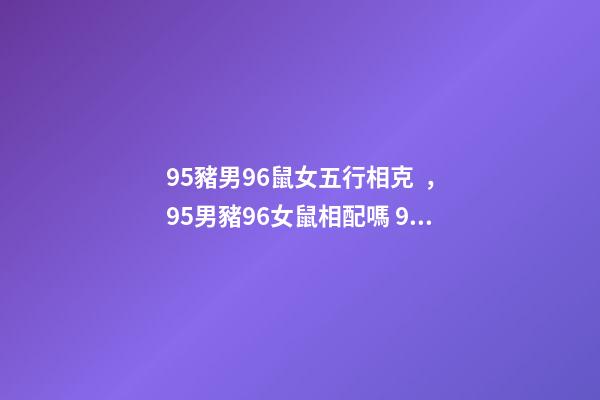 95豬男96鼠女五行相克，95男豬96女鼠相配嗎 95豬男和96鼠女水火不容嗎，95男豬96女鼠生個龍寶寶好嗎-第1張-觀點-玄機(jī)派